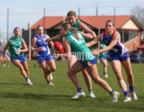 Young Gun Series 2024 - Young Guns v Oakleigh Chargers - A-52534880