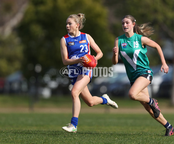 Young Gun Series 2024 - Young Guns v Oakleigh Chargers - A-52534882