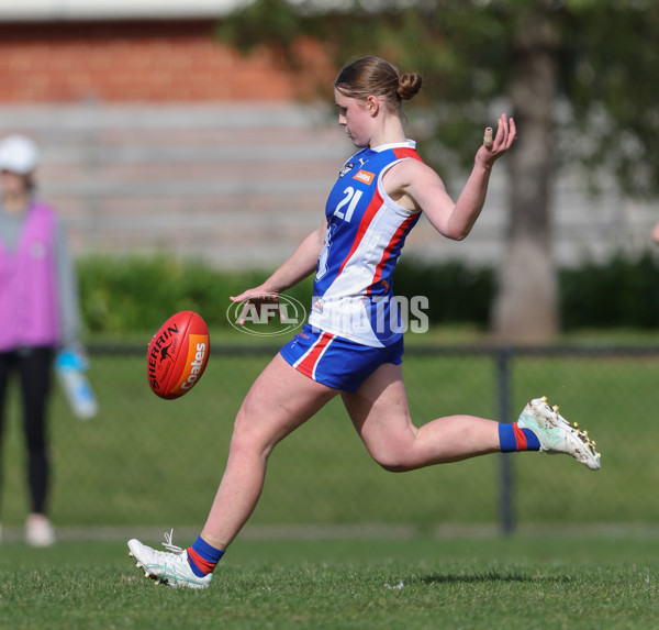 Young Gun Series 2024 - Young Guns v Oakleigh Chargers - A-52534884