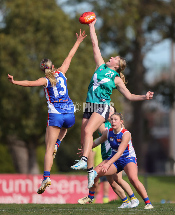 Young Gun Series 2024 - Young Guns v Oakleigh Chargers - A-52534886