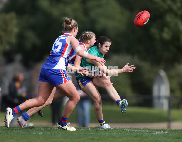 Young Gun Series 2024 - Young Guns v Oakleigh Chargers - A-52534937