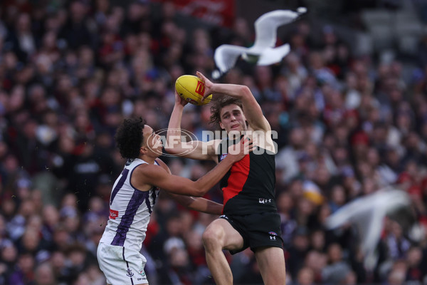 AFL 2024 Round 21 - Essendon v Fremantle - A-52534942