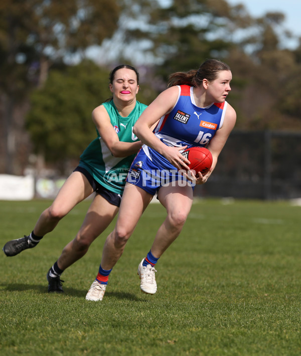 Young Gun Series 2024 - Young Guns v Oakleigh Chargers - A-52535173