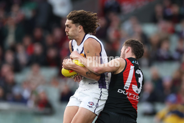 AFL 2024 Round 21 - Essendon v Fremantle - A-52535198