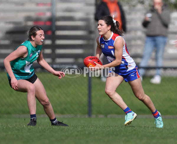 Young Gun Series 2024 - Young Guns v Oakleigh Chargers - A-52537631