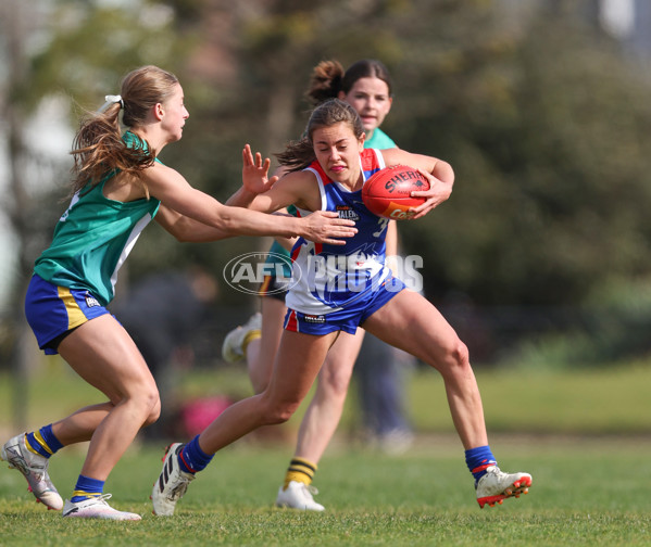 Young Gun Series 2024 - Young Guns v Oakleigh Chargers - A-52538421