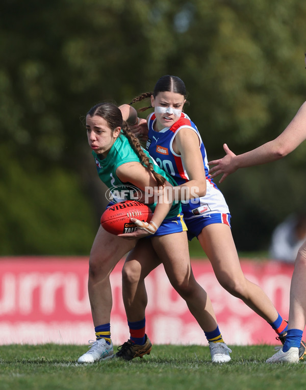 Young Gun Series 2024 - Young Guns v Oakleigh Chargers - A-52538423