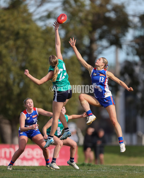 Young Gun Series 2024 - Young Guns v Oakleigh Chargers - A-52538424