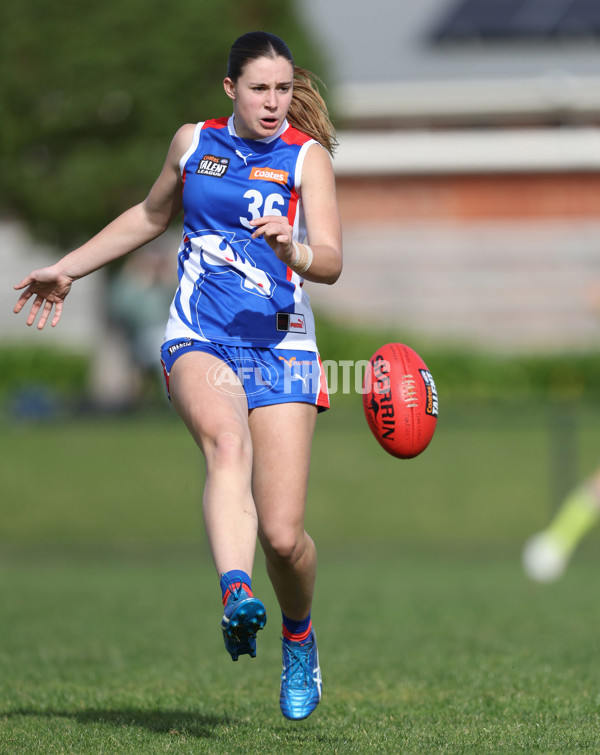 Young Gun Series 2024 - Young Guns v Oakleigh Chargers - A-52540623