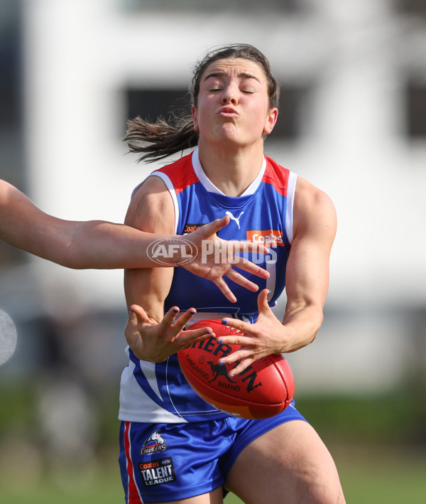 Young Gun Series 2024 - Young Guns v Oakleigh Chargers - A-52540658