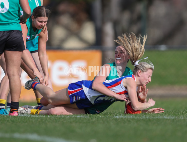 Young Gun Series 2024 - Young Guns v Oakleigh Chargers - A-52540659