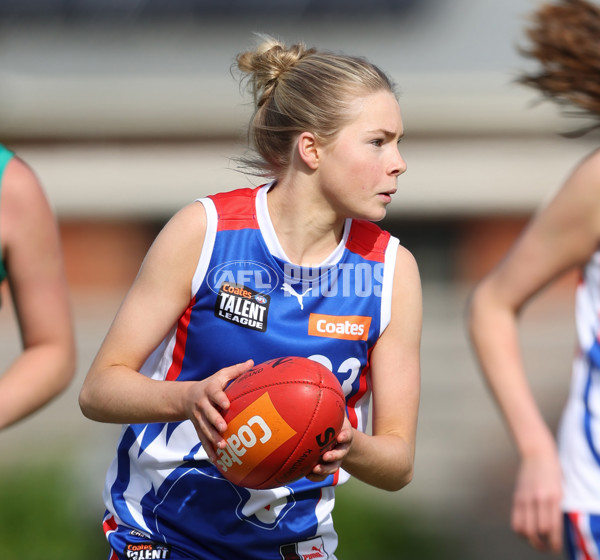 Young Gun Series 2024 - Young Guns v Oakleigh Chargers - A-52540661