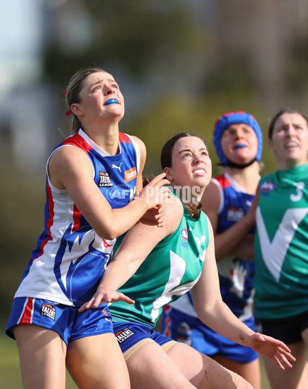 Young Gun Series 2024 - Young Guns v Oakleigh Chargers - A-52541127