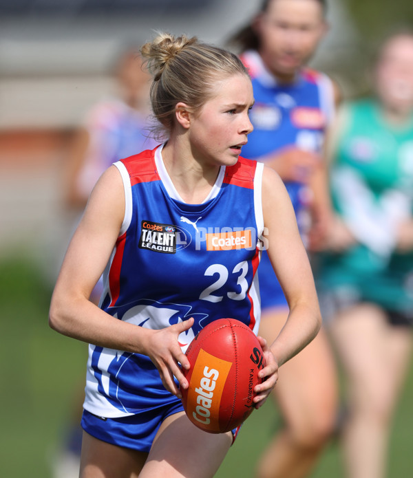 Young Gun Series 2024 - Young Guns v Oakleigh Chargers - A-52541128