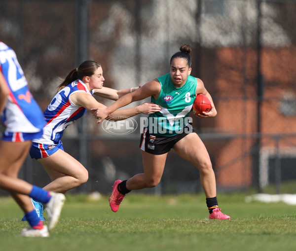 Young Gun Series 2024 - Young Guns v Oakleigh Chargers - A-52541131