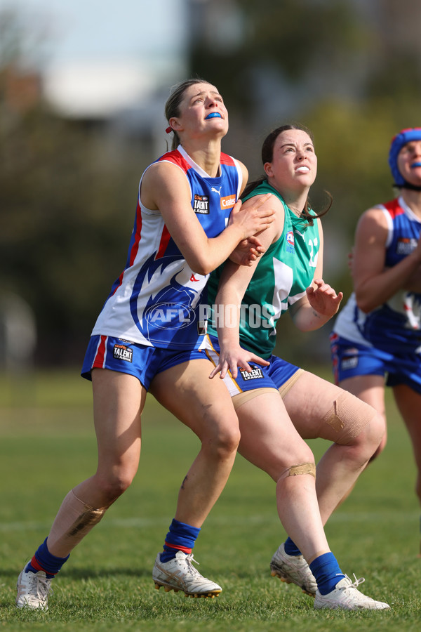 Young Gun Series 2024 - Young Guns v Oakleigh Chargers - A-52541132