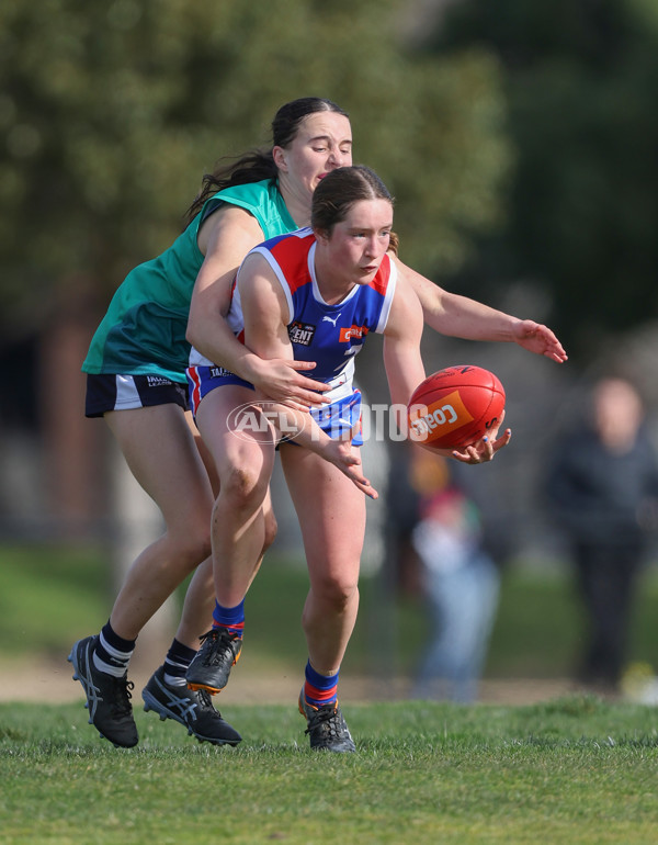 Young Gun Series 2024 - Young Guns v Oakleigh Chargers - A-52541172