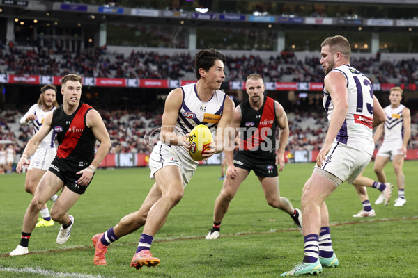 AFL 2024 Round 21 - Essendon v Fremantle - A-52544095