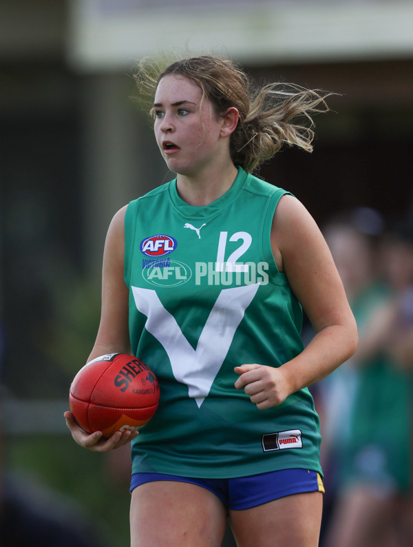 Young Gun Series 2024 - Young Guns v Oakleigh Chargers - A-52547651