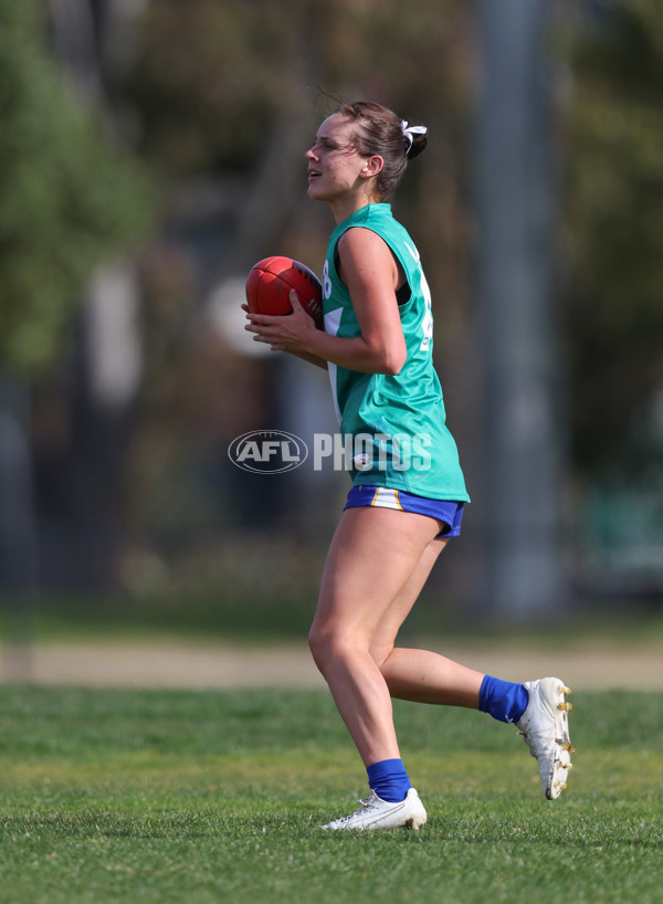 Young Gun Series 2024 - Young Guns v Oakleigh Chargers - A-52547666