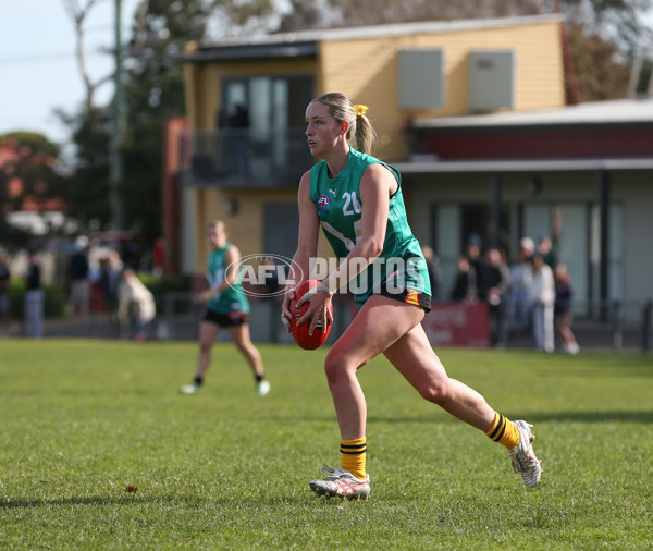 Young Gun Series 2024 - Young Guns v Oakleigh Chargers - A-52547667