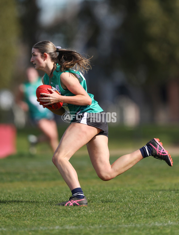 Young Gun Series 2024 - Young Guns v Oakleigh Chargers - A-52547668