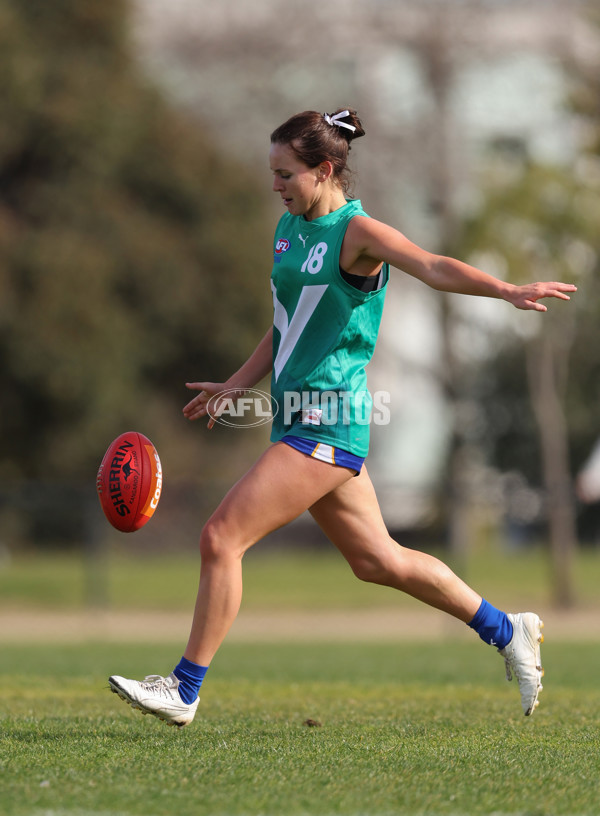 Young Gun Series 2024 - Young Guns v Oakleigh Chargers - A-52547669