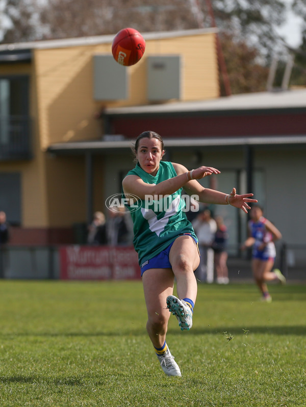 Young Gun Series 2024 - Young Guns v Oakleigh Chargers - A-52549216