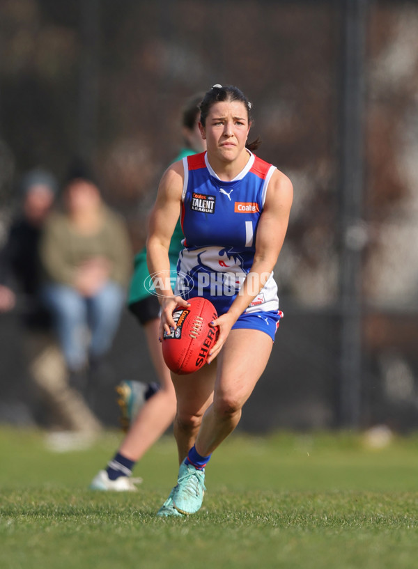 Young Gun Series 2024 - Young Guns v Oakleigh Chargers - A-52549222