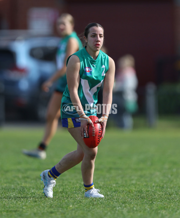 Young Gun Series 2024 - Young Guns v Oakleigh Chargers - A-52549224