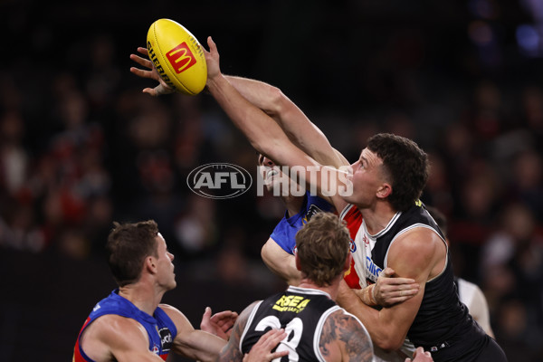 AFL 2024 Round 21 - St Kilda v Brisbane - A-52549265
