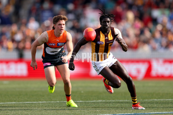 AFL 2024 Round 21 - GWS v Hawthorn - A-52550257