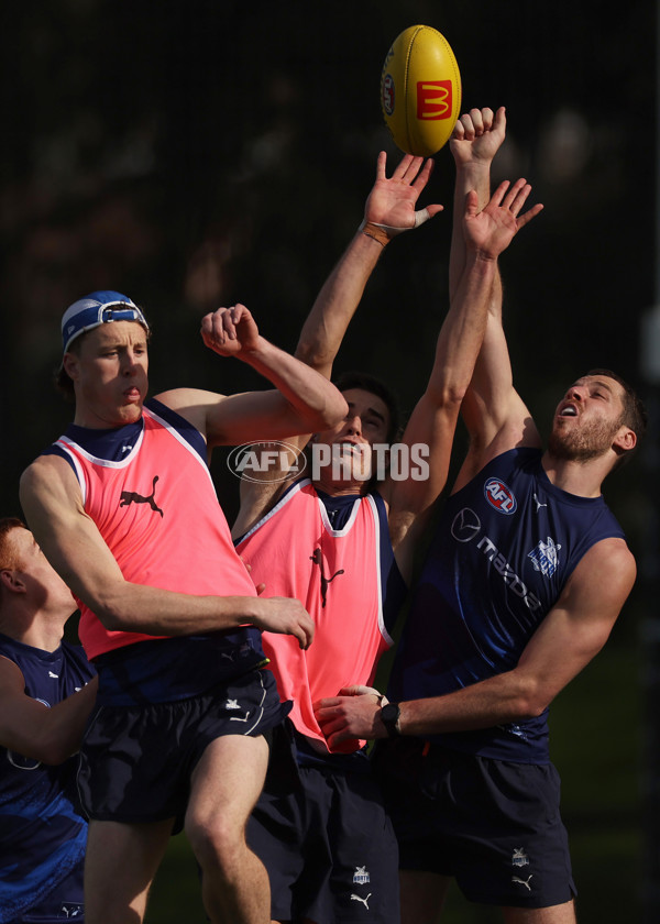 AFL 2024 Training - North Melbourne 060824 - A-52563723