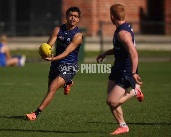 AFL 2024 Training - North Melbourne 060824 - A-52580635