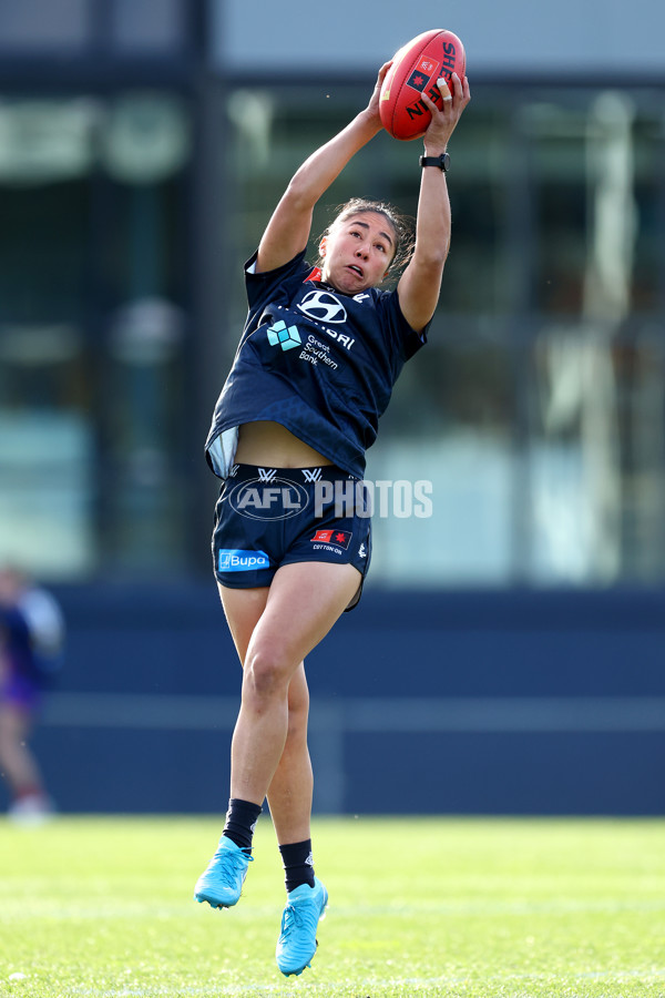 AFLW 2024 Match Simulation - Carlton v Melbourne - A-52622755