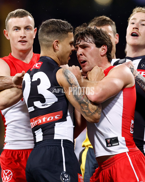 AFL 2024 Round 22 - Sydney v Collingwood - A-52625983