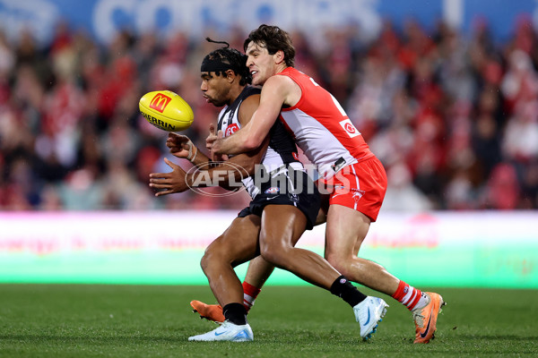 AFL 2024 Round 22 - Sydney v Collingwood - A-52625999