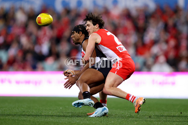AFL 2024 Round 22 - Sydney v Collingwood - A-52626000