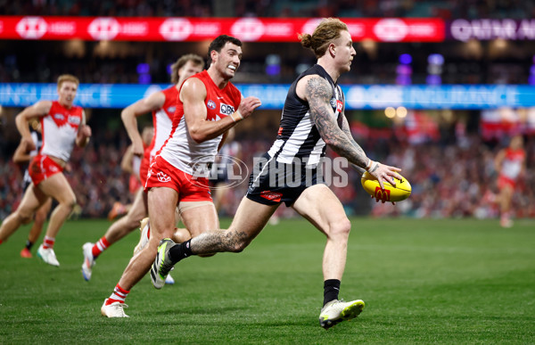 AFL 2024 Round 22 - Sydney v Collingwood - A-52626021