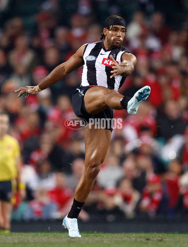 AFL 2024 Round 22 - Sydney v Collingwood - A-52626469