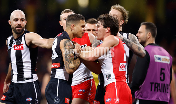 AFL 2024 Round 22 - Sydney v Collingwood - A-52626470