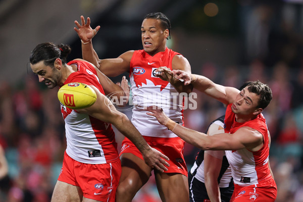 AFL 2024 Round 22 - Sydney v Collingwood - A-52626491