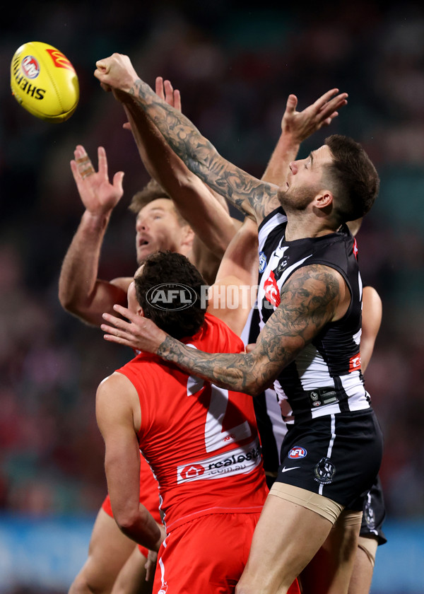 AFL 2024 Round 22 - Sydney v Collingwood - A-52626492