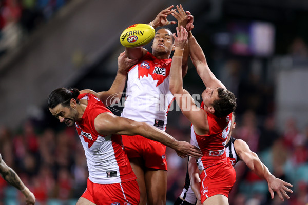 AFL 2024 Round 22 - Sydney v Collingwood - A-52626493