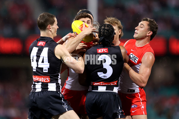 AFL 2024 Round 22 - Sydney v Collingwood - A-52626506