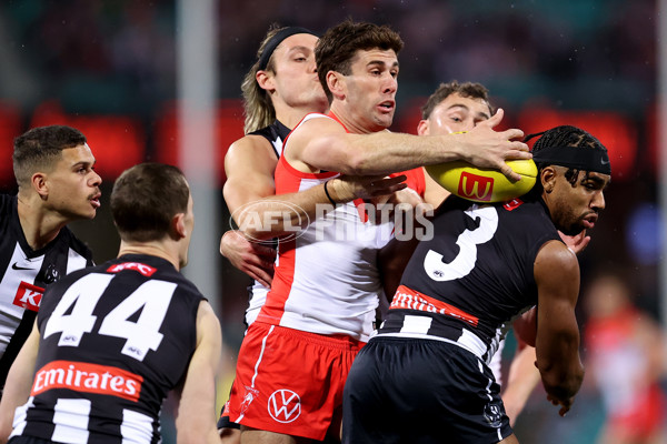 AFL 2024 Round 22 - Sydney v Collingwood - A-52626507