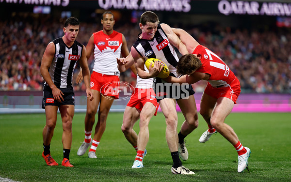AFL 2024 Round 22 - Sydney v Collingwood - A-52626509