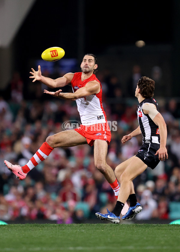 AFL 2024 Round 22 - Sydney v Collingwood - A-52626519