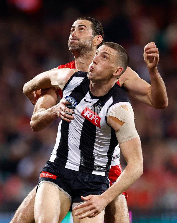 AFL 2024 Round 22 - Sydney v Collingwood - A-52628384