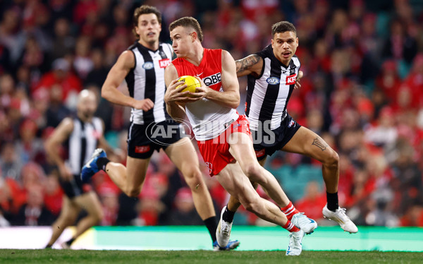 AFL 2024 Round 22 - Sydney v Collingwood - A-52628386
